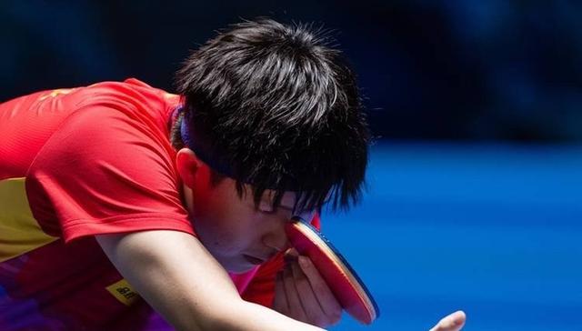 关于复仇之战！樊振东率领美国队成功终止连败的信息-乐鱼官网